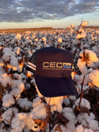Trucker Caps