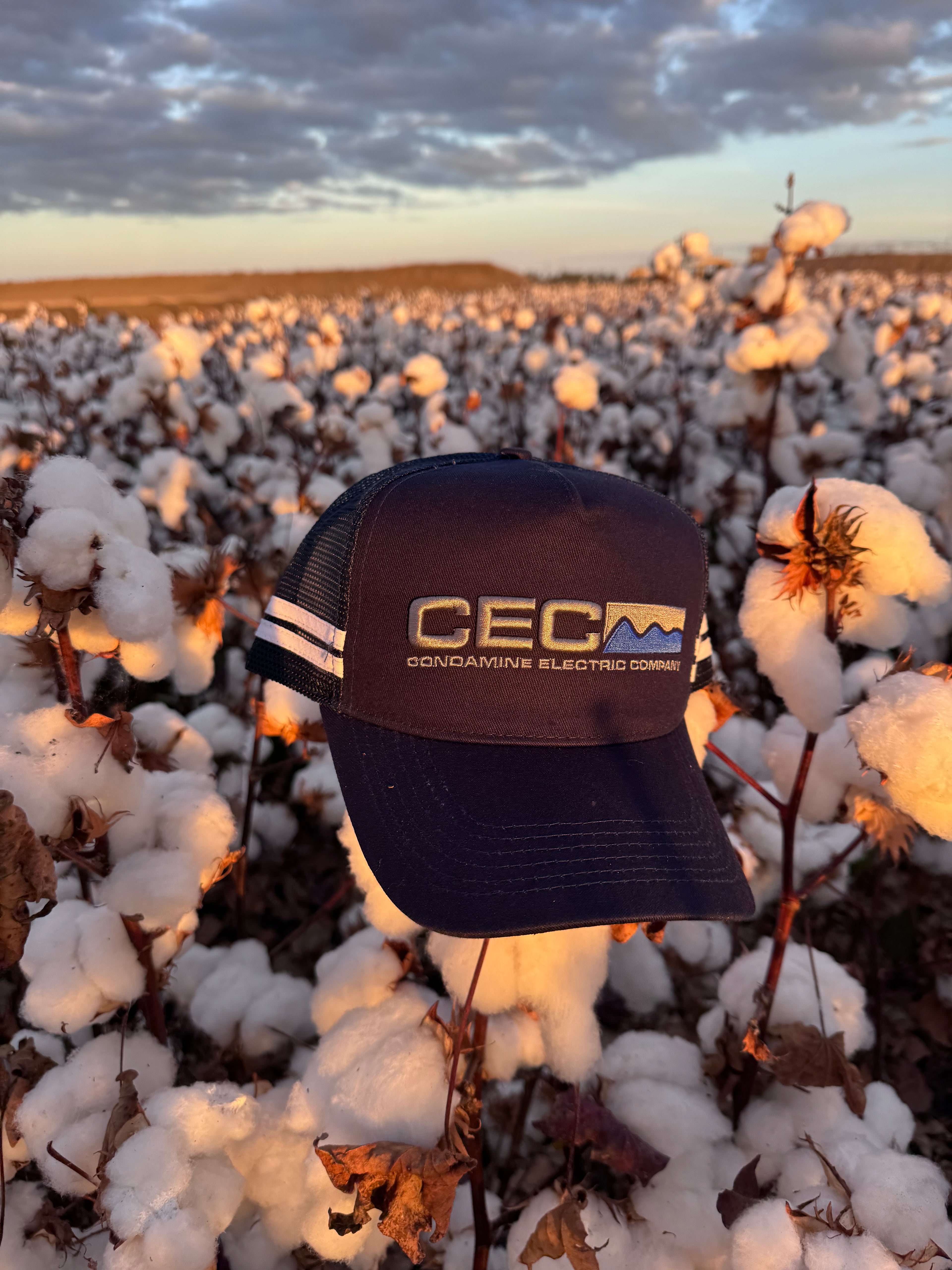 Trucker Caps