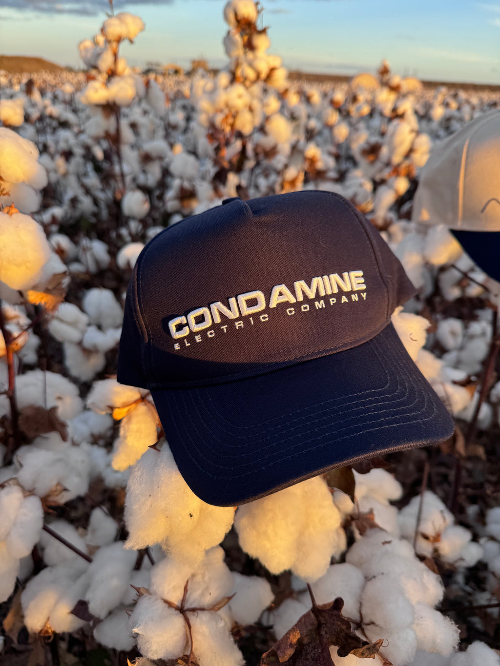 Trucker Caps