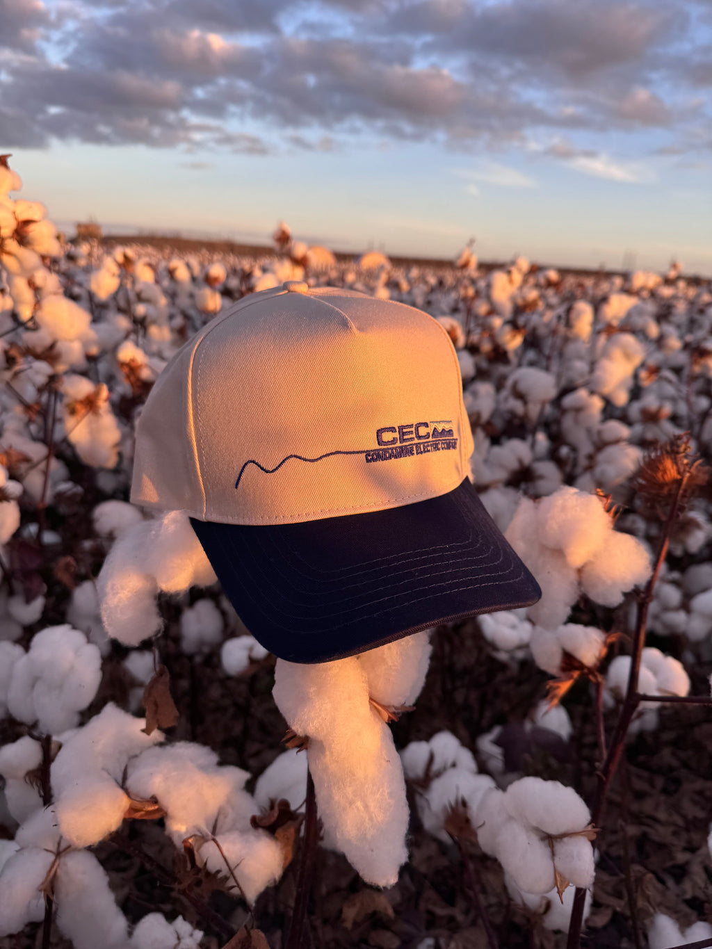 Trucker Caps